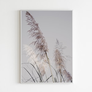 Ziergras Wandkunst - Neutrale Natur Digitaler Download - Botanisches druckbares Dekor - Hohes Gras Druck - Minimalistische Wandkunst
