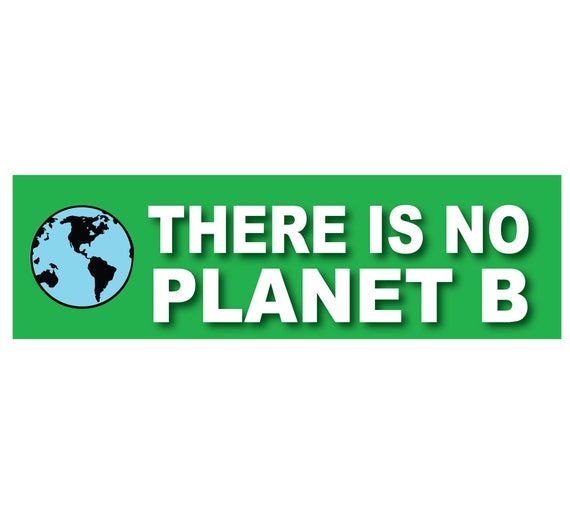 Bumper Sticker, There is No Planet B, Save the Planet Decal