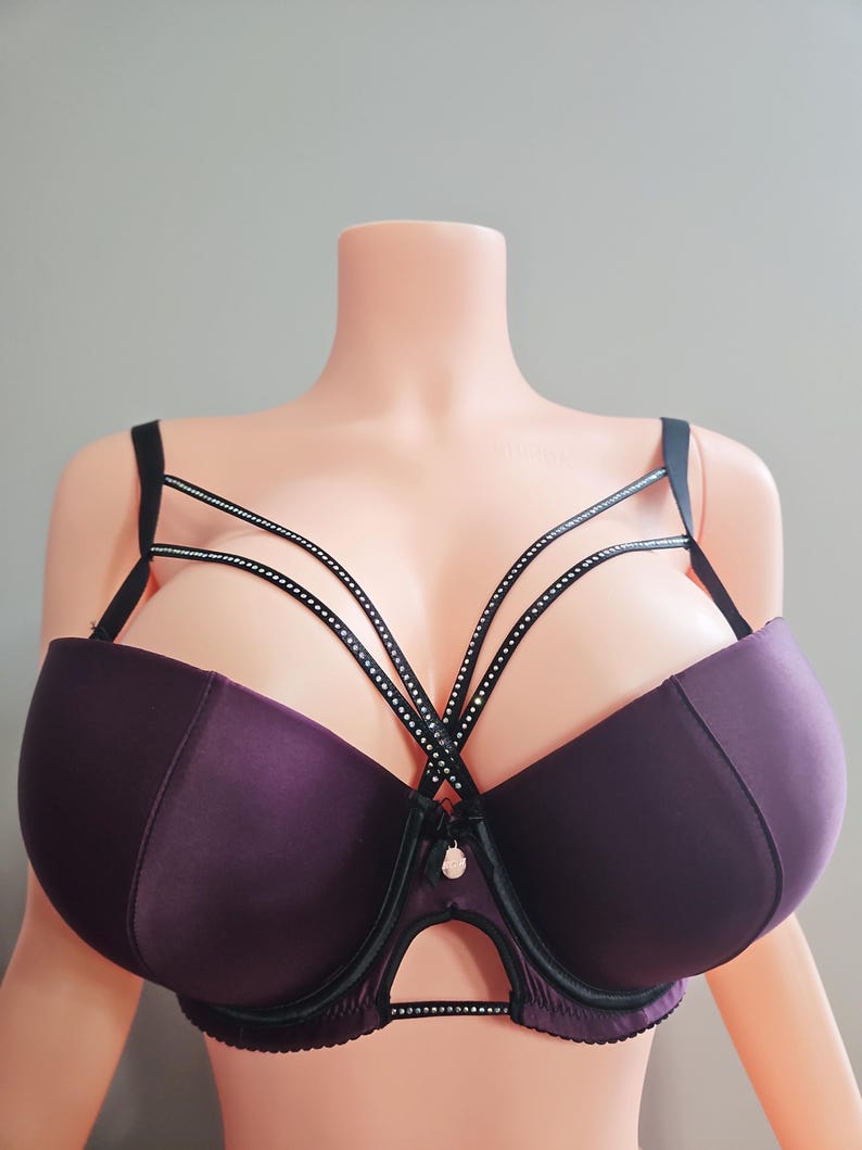 Puede incluir: Sujetador color ciruela con tirantes negros y detalles decorativos de pedrer&iacute;a. El sujetador presenta un dise&ntilde;o &uacute;nico de tiras en el pecho y un peque&ntilde;o colgante. Las copas son lisas y la aros est&aacute;n delineados en negro.