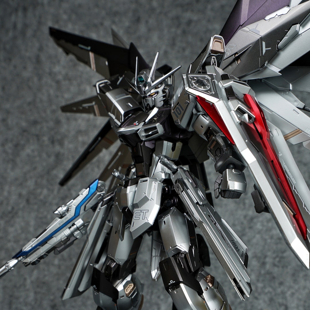 MGフリーダムガンダムver2.0（シルバーコーティングver）完成品 MG フリーダムガンダムVer.2.0(シルバーコーティング) レビュー