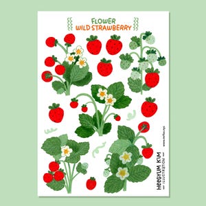Blumengarten - Erdbeere Klarsicht-Stickerbogen A6 Bullet Journal Planer Aufkleber