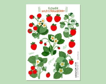 Flower Garden - Strawberry Clear Sticker Sheet A6 Bullet Journal planner sticker