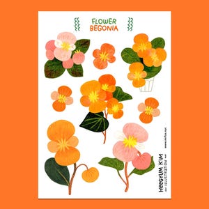 Blumengarten - Begonien, klarer Stickerbogen A6 Bullet Journal Planer Aufkleber