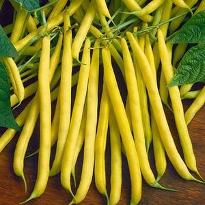 May include: A bunch of yellow string beans on a wooden surface. The beans are arranged in a fan shape, with the tips of the beans pointing towards the bottom of the image.