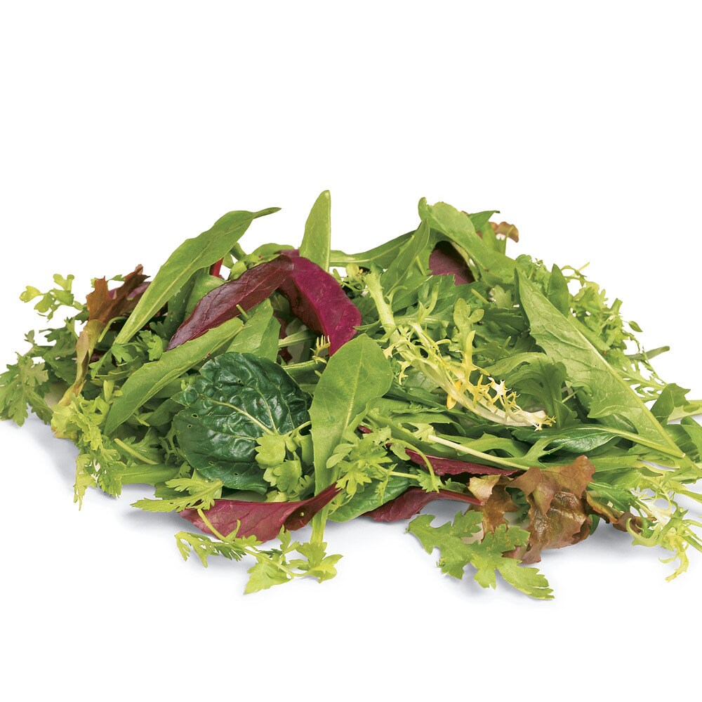 Mesclun Mix Salad Green Seeds Spring Mix Lettuce Leaf Cutting Etsy