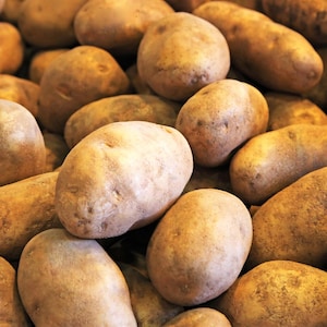 May include: A close-up of a pile of brown potatoes. The potatoes are all different sizes and shapes, and they have a rough, textured skin.