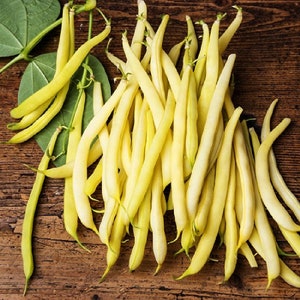 May include: A bunch of yellow wax beans on a wooden surface. The beans are fresh and have a bright yellow colour.