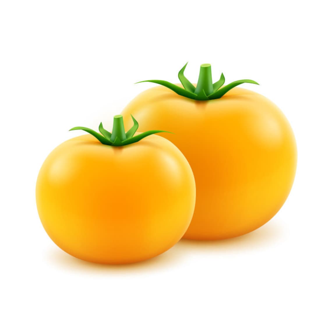 Golden Jubilee Tomato Indeterminate Yellow Tomatoes Seeds Non Etsy