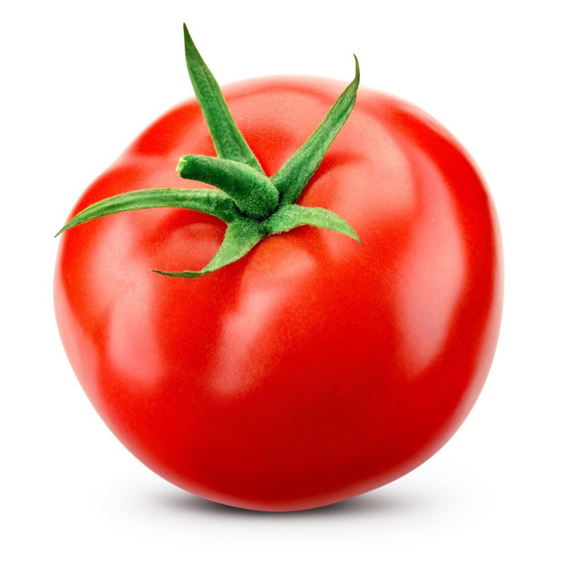 Rutgers Tomato Jersey Tomato Rutgers Select Tomato Seeds Bush Etsy
