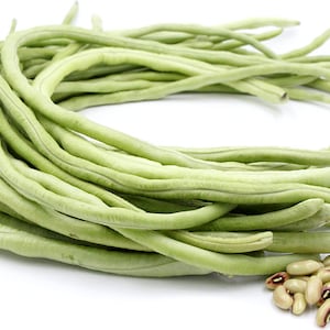 May include: A bunch of long, green yardlong beans with a pile of white beans with red markings next to them.