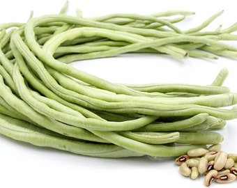 White Seeded Yard Long Bean Seeds Asparagus Bean Long Podded Cowpea Chinese Long Bean Bodi/Bora Snake Bean Pea Bean Seeds Non GMO Heirloom