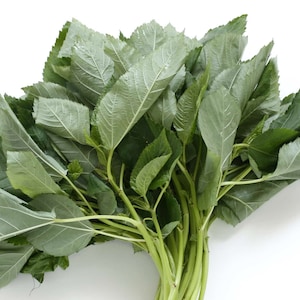 May include: A bunch of fresh green leafy vegetables with stems. The leaves are large and have a slightly textured surface.