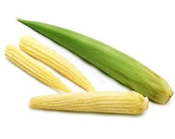 Baby Corn Seeds Japanese Hulless Corn Popcorn Mini Corn Seeds Non GMO Heirloom