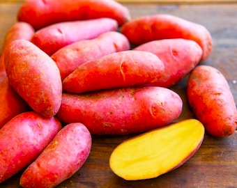 Red French Fingerling Seed Potatoes For Planting - Certified For Growers Organic Red Skinned Potato Growing Gardening Free Shipping
