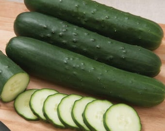 Cucumber Seeds Pickle Cucumbers Cuke Seeds Organic Non GMO Heirloom Fast Shipping