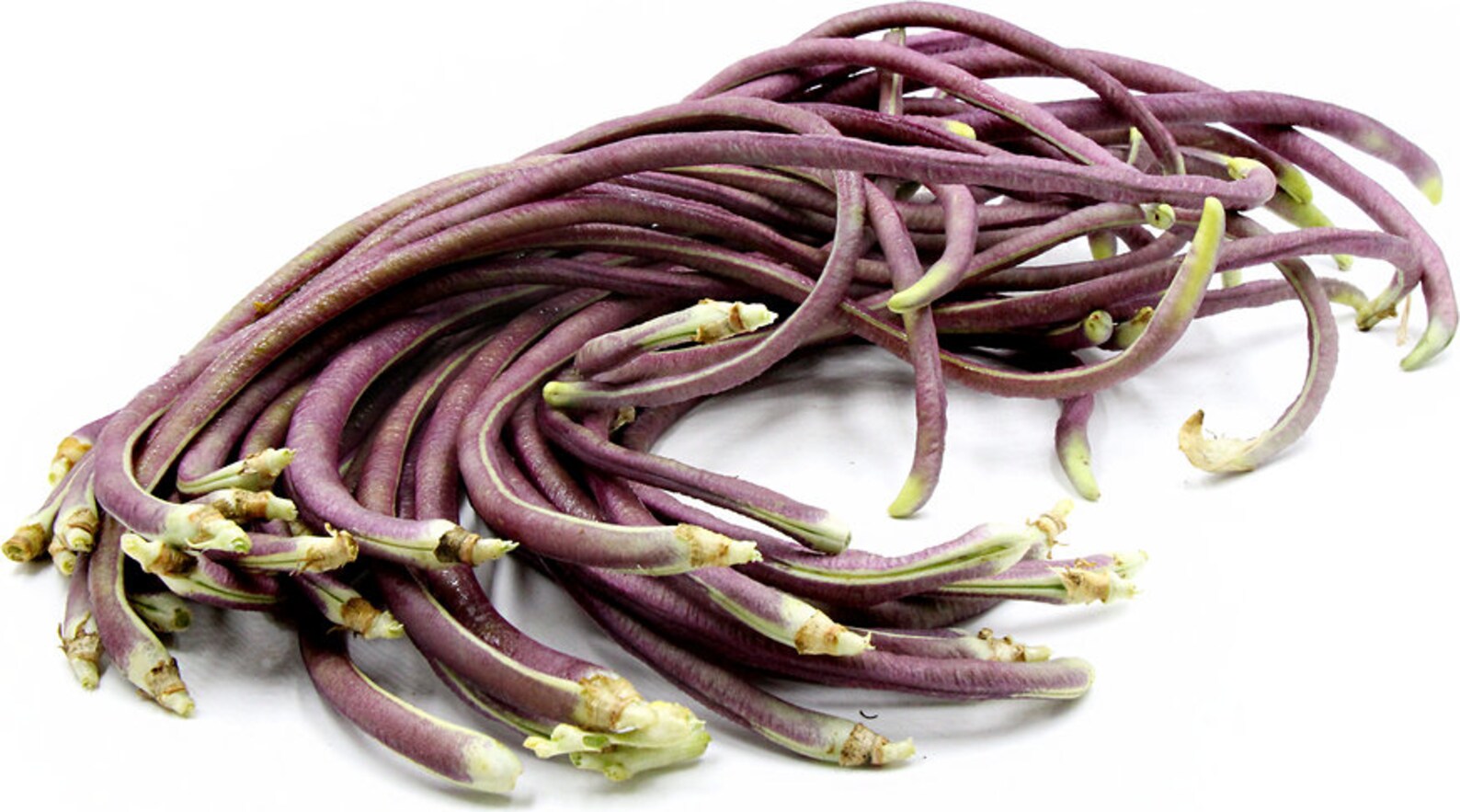 Mosaic Yard Long Bean Seeds Asparagus Bean Long Podded Cowpea Etsy