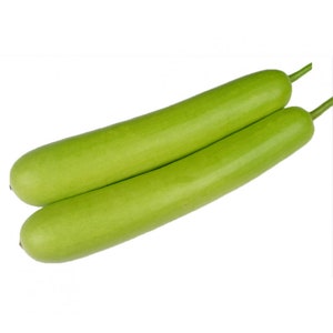 Bottle Gourd Seeds Hugua Lauki Dudhi Calabash Slaouia Long Melon Loki Doodhi Kaddu Opo Squash Seeds Non GMO