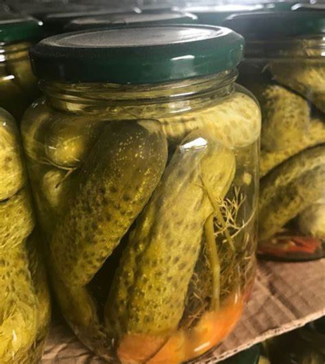 Pickling Cucumber Seeds Gherkin Cucumbers Cuke Seeds Organic Etsy