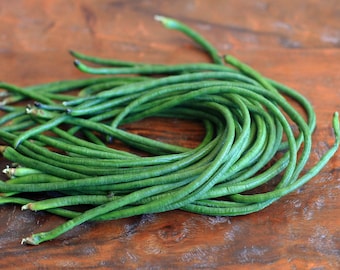 Yard Long Bean Seeds Asparagus Bean Long Podded Cowpea Chinese Long Bean Bodi/Bora Snake Bean Pea Bean Seeds Non GMO Organic Heirloom