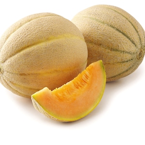 Cantaloupe Seeds Sweet Honey Rock Cantelope Melon Seeds Organic Non GMO
