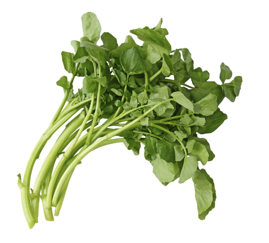 Upland Cress Seeds Upland Cress Seeds, Green - 1 Ounce, Eden Brothers