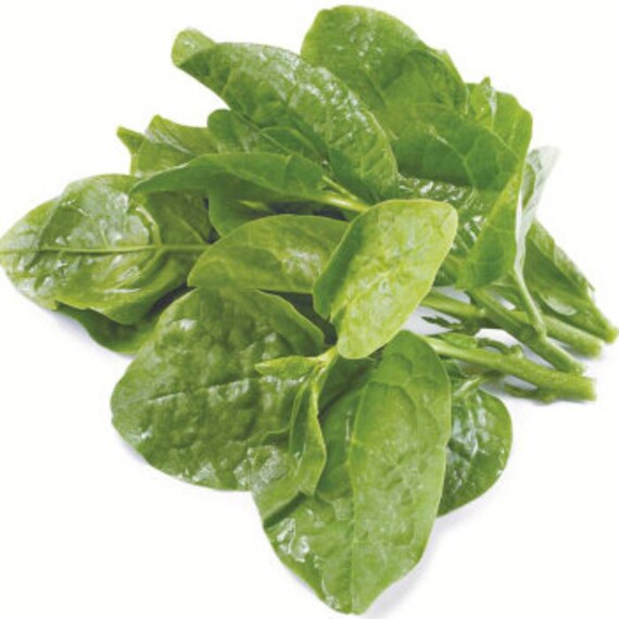 Ceylon spinach