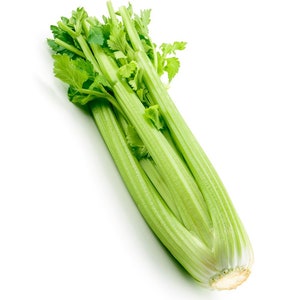 May include: A bunch of fresh green celery stalks with leaves.