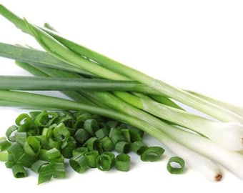 Scallions Seeds Green Onions Bunching Onions Spring Onions Seeds Non GMO Organic Heirloom Fast Growing Fast Shipping