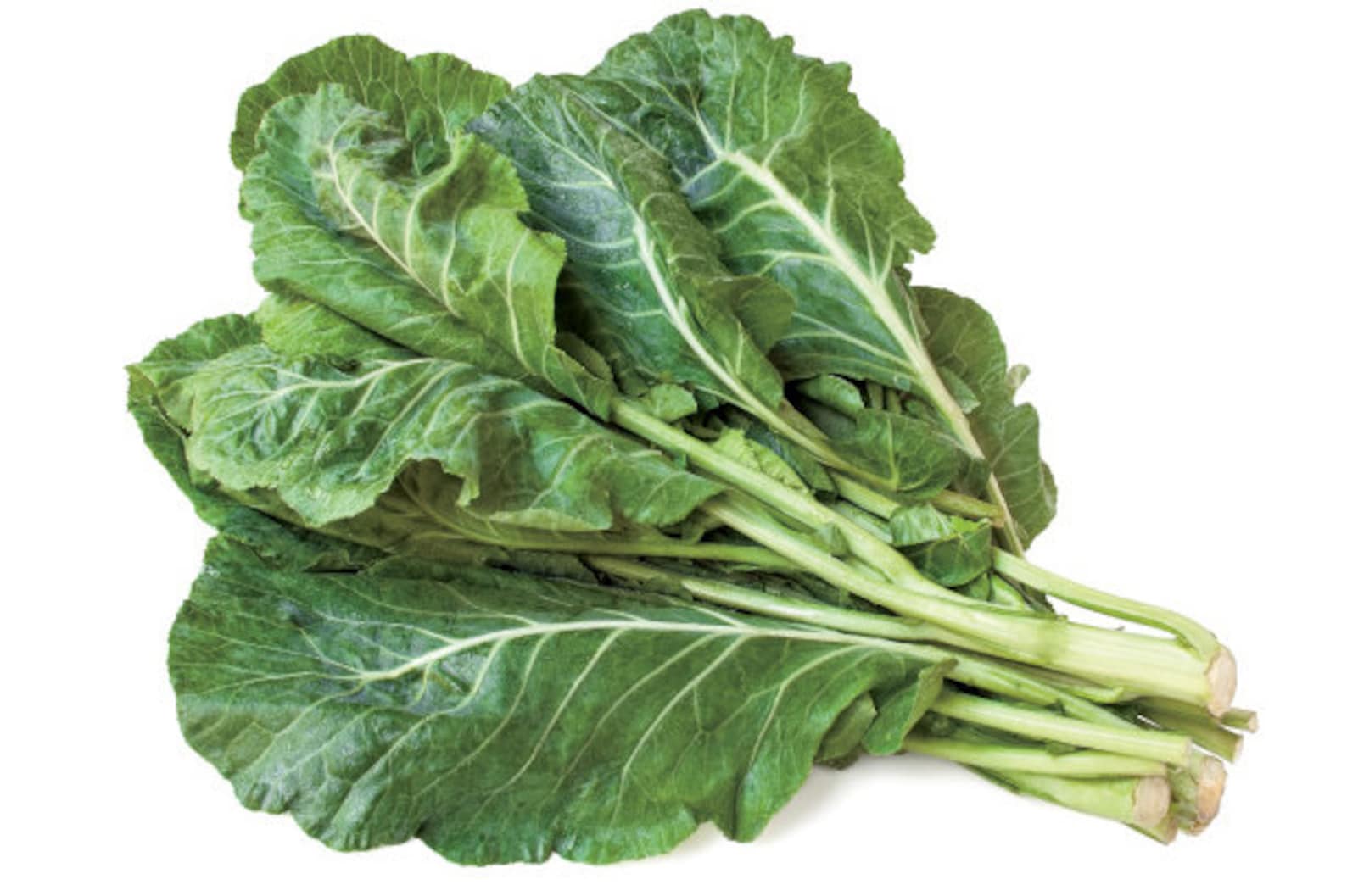 Collard Greens Seeds Southern Vegetable Collards Green Kale Etsy