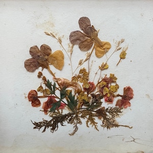 Vintage Dried Pressed Flowers in Gold Frame, Handmade in Tyrol Austria