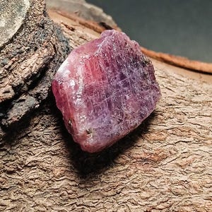 May include: A rough-cut, natural ruby gemstone with a deep pink and purple hue. The gemstone is resting on a piece of textured, brown bark, with a dark background. The ruby displays visible crystalline structures.