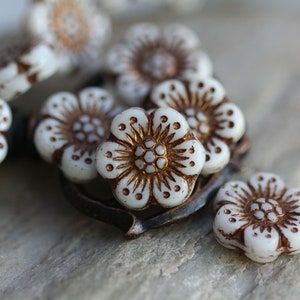 Opaque White with Dark Bronze Czech Glass Wild Rose Beads 14mm, 6 Beads