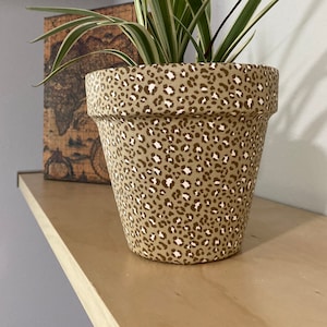 May include: A green plant with long, thin leaves in a brown and white leopard print ceramic pot. The pot is sitting on a light brown wooden shelf.