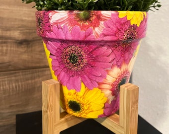 May include: A green plant with white flowers in a pink and yellow floral patterned terracotta pot on a wooden stand.