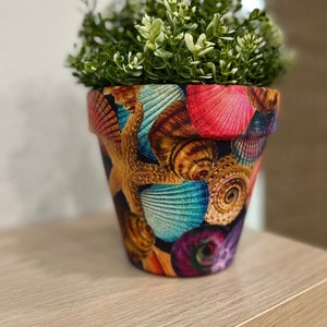 May include: A green plant in a colorful ceramic pot with a seashell design. The pot is decorated with various seashells, starfish, and other ocean-themed elements.
