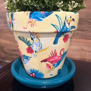 May include: A yellow ceramic planter with a tropical print featuring toucans, parrots, and flamingos. The planter has a teal saucer.