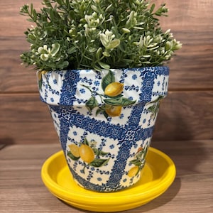 May include: A decorative ceramic flower pot with a blue and white pattern featuring lemons and green leaves. The pot sits on a bright yellow saucer and is filled with green and white leafy plants. The pot is a charming addition to any home.