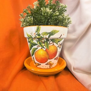 Oranges and Butterflies Decoupage Hand Painted Terracotta Plant Pot