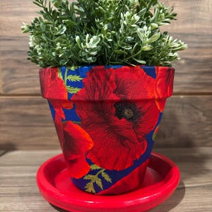 Red Poppies Blue Background