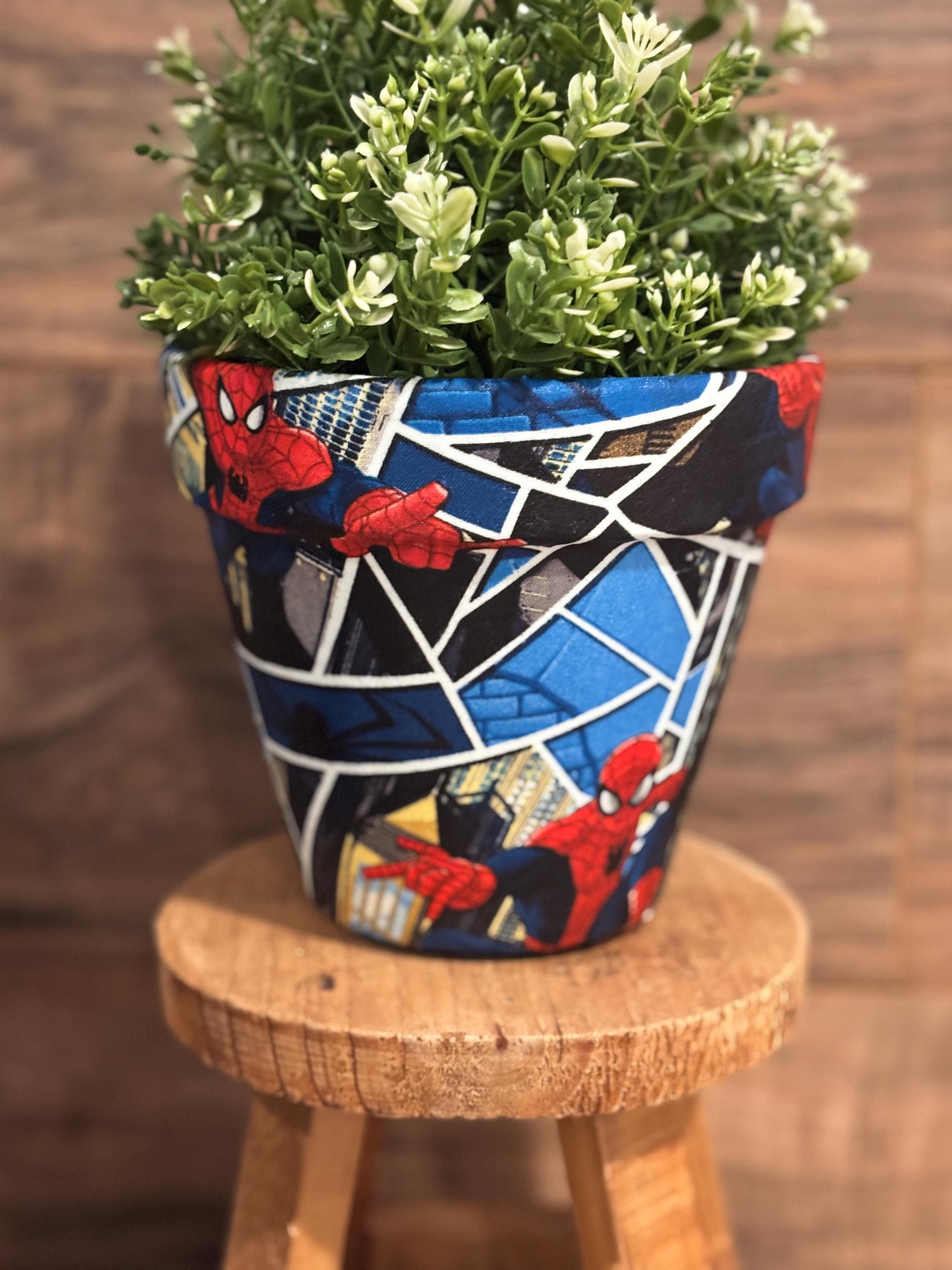 wide shallow plant pots Oceanside Shallow Concrete Planter