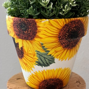 May include: A white ceramic flower pot with a sunflower pattern. The pot is filled with a green leafy plant.