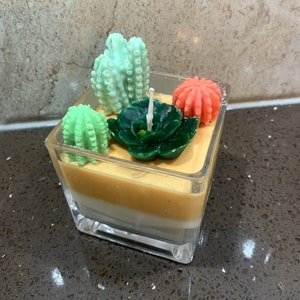 Terrarium Candle