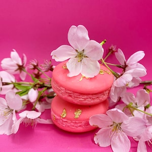 Macaron gift set