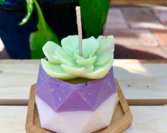 Mini Succulent candle