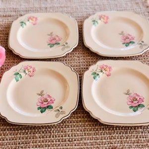 Vintage Plates with Floral Roses (Set of 4)