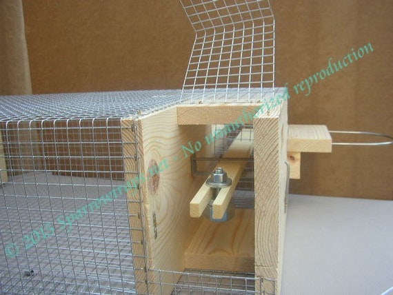 Original Deluxe Repeating Sparrow Trap full Copyright Directions Included 