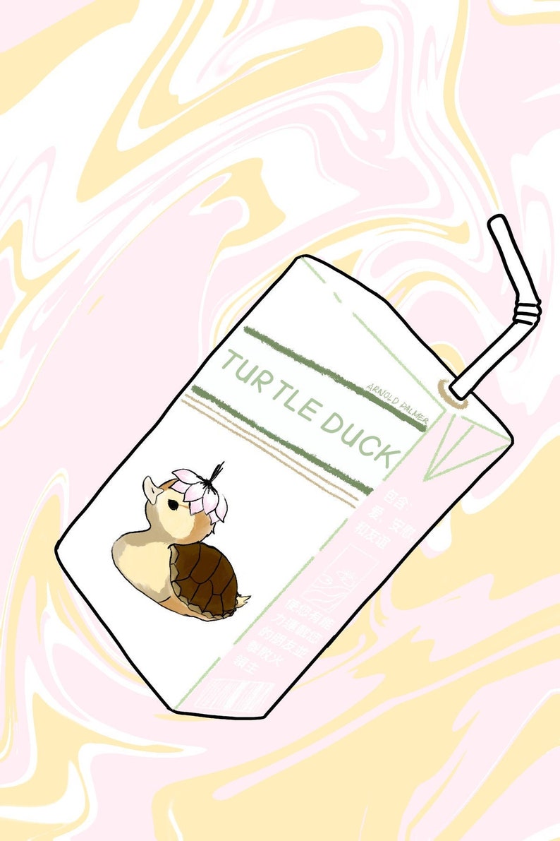 Turtle Duck PACK