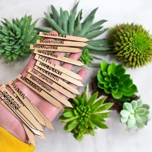 Marcatori per piantine personalizzati, in legno di betulla per uso alimentare, marcatori da giardino, riutilizzabili, ecologici, decorazioni da giardino, identificazione delle piante