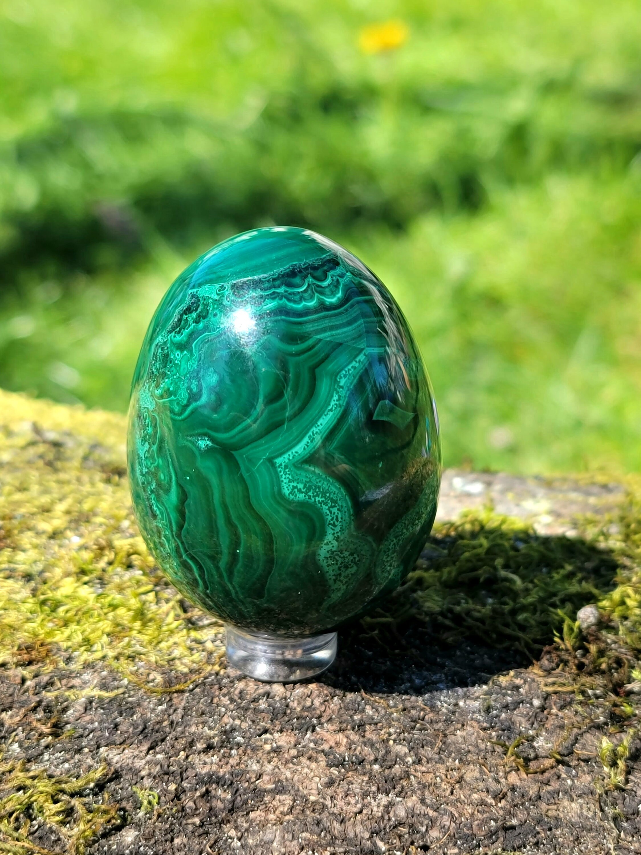 Natural Malachite Egg Crystal Healing Stone Polished Etsy