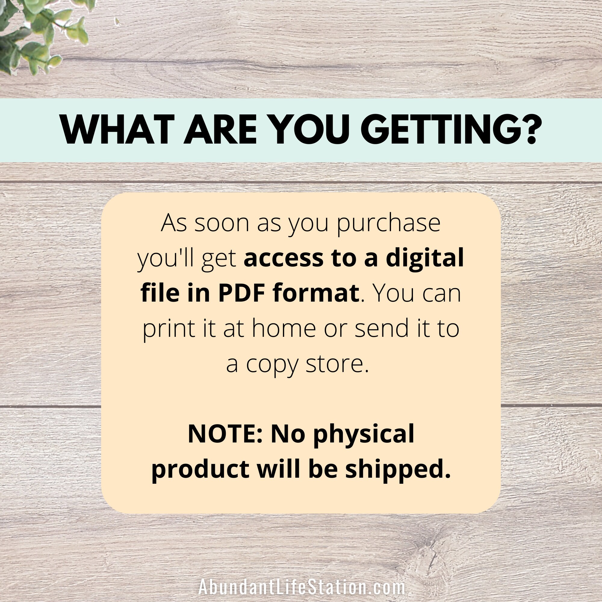 Weekly Planner Printable, Landscape, Week at a Glance, Weekly Agenda ...